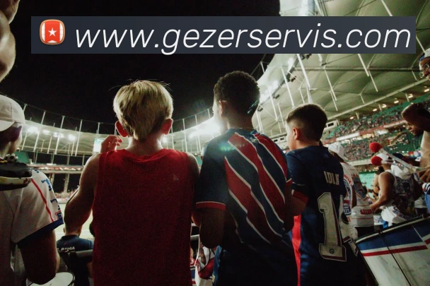 奖项证书